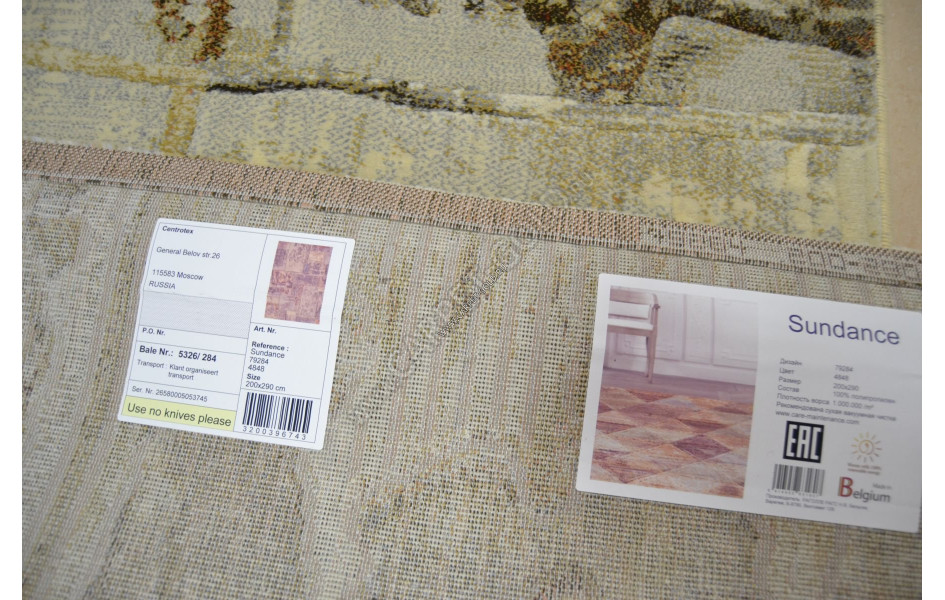 Синтетический ковер Ragolle Sundance 79284 4848